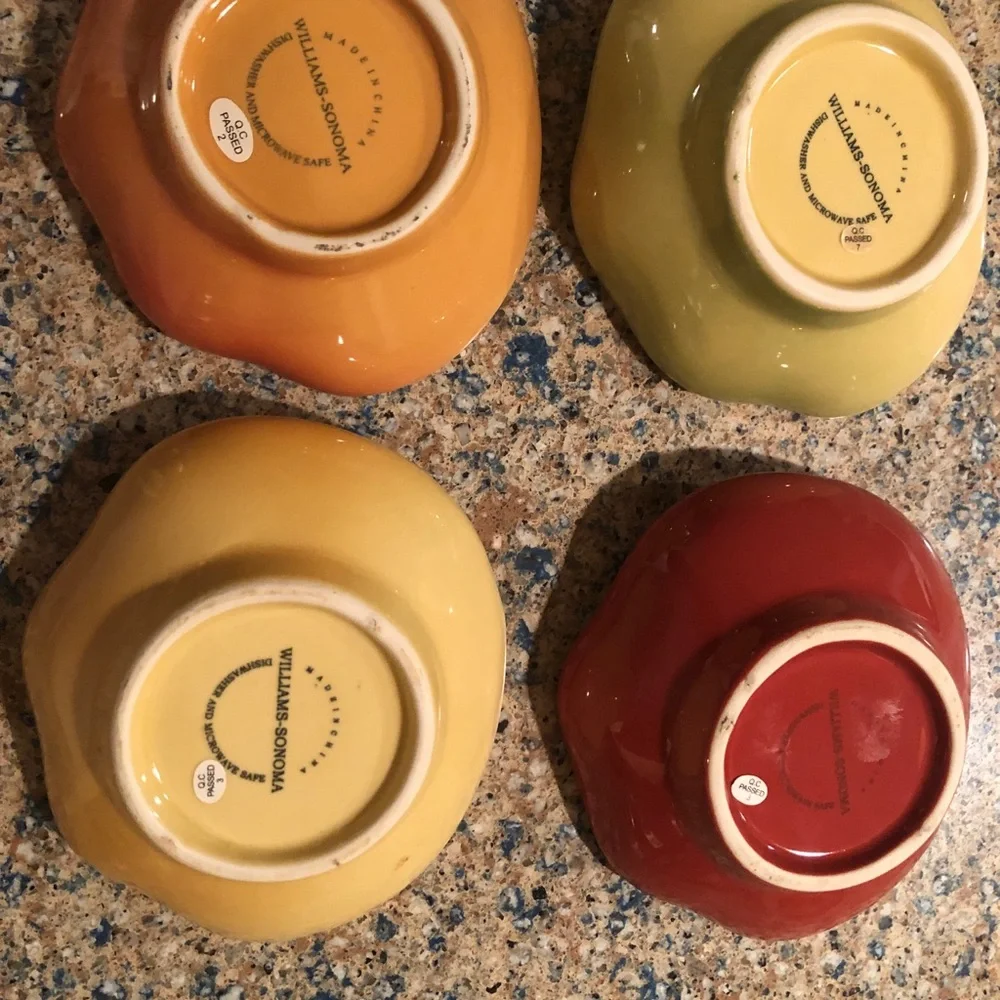 Williams Sonoma Vibrant Ceramic Bowl Set